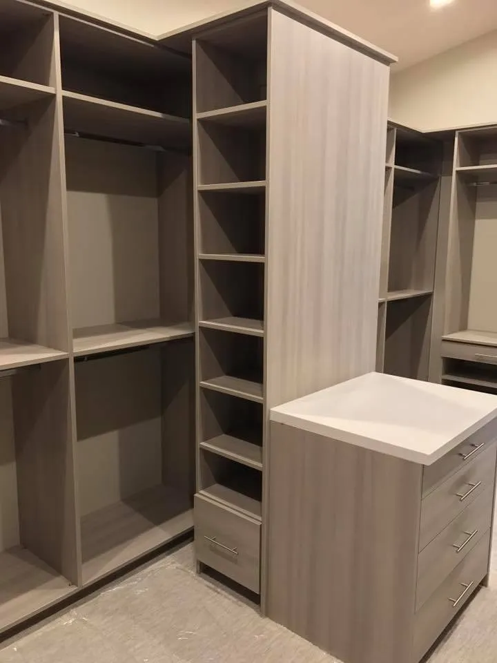 Closet project