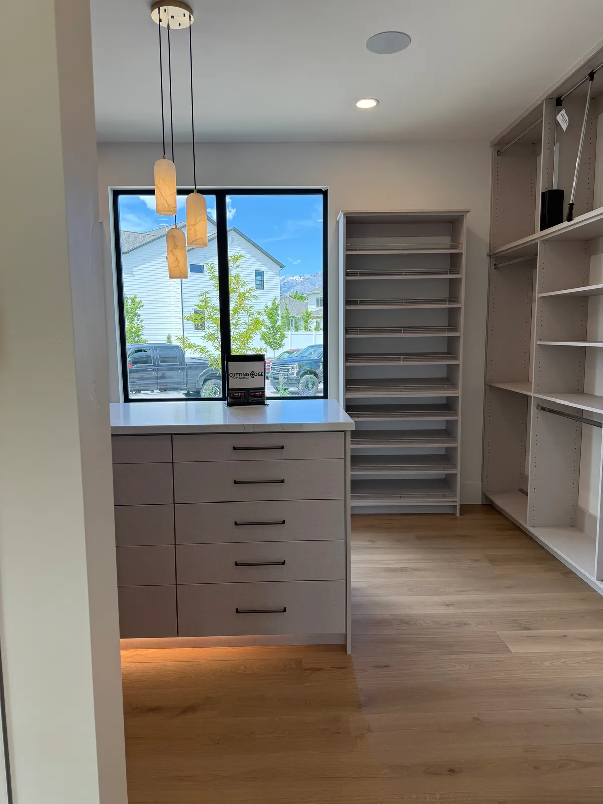 Closet project