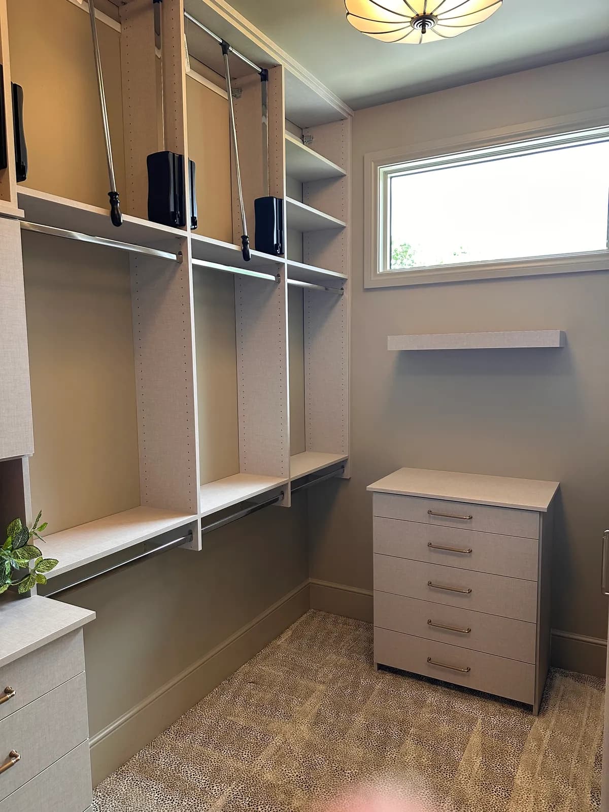 Closet project