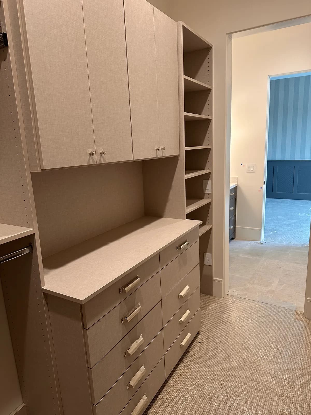 Closet project