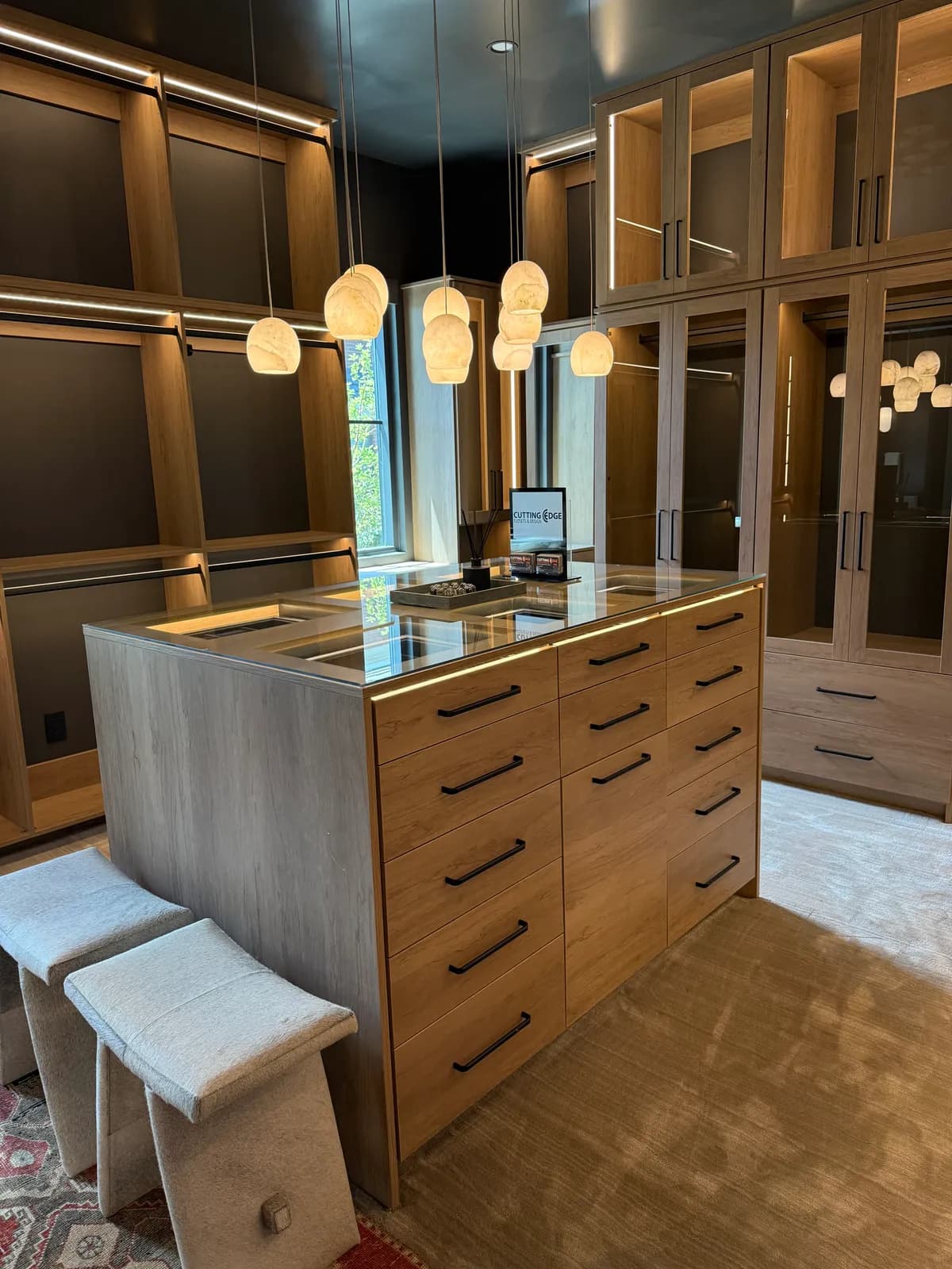 Closet project