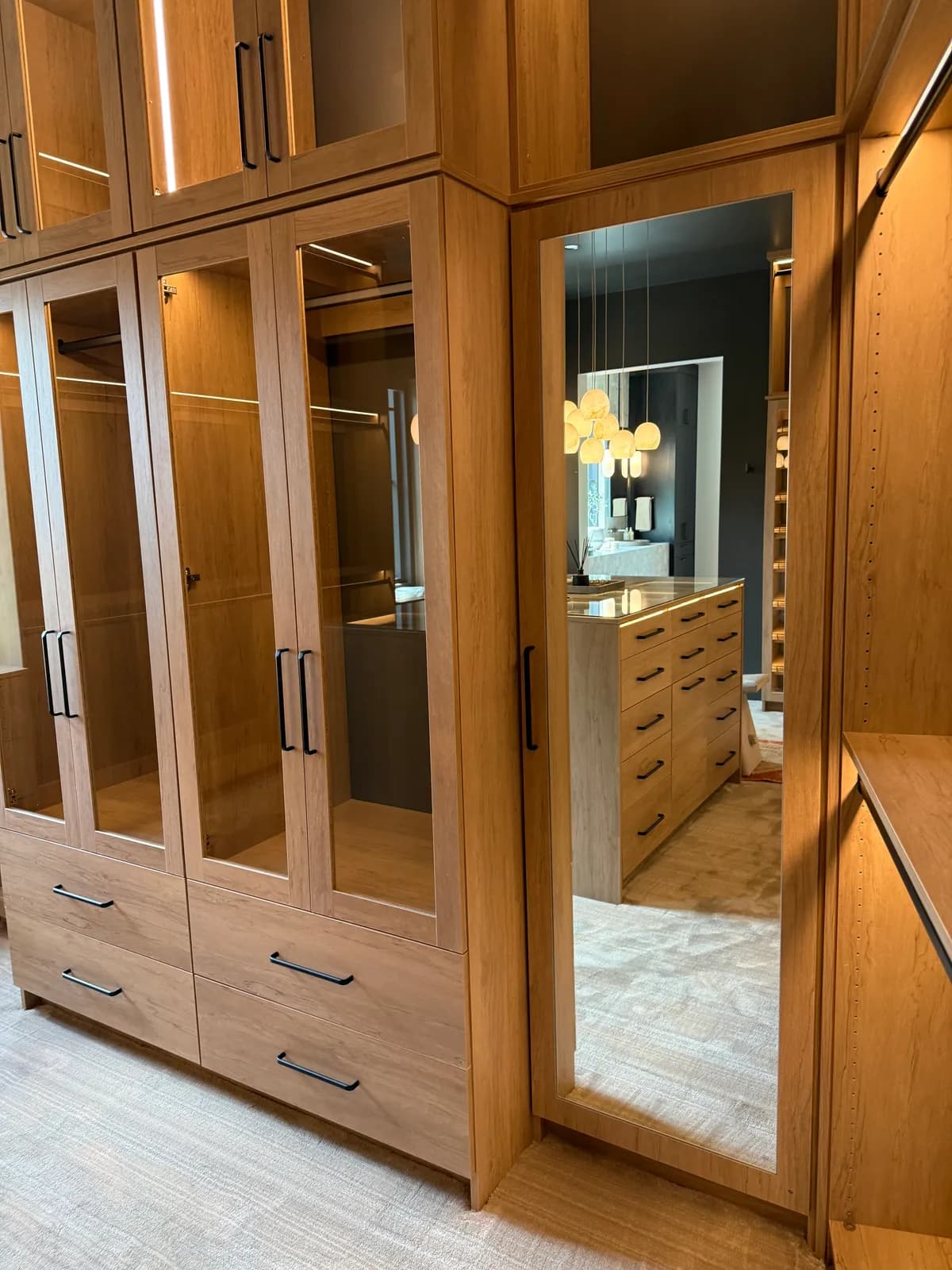 Closet project