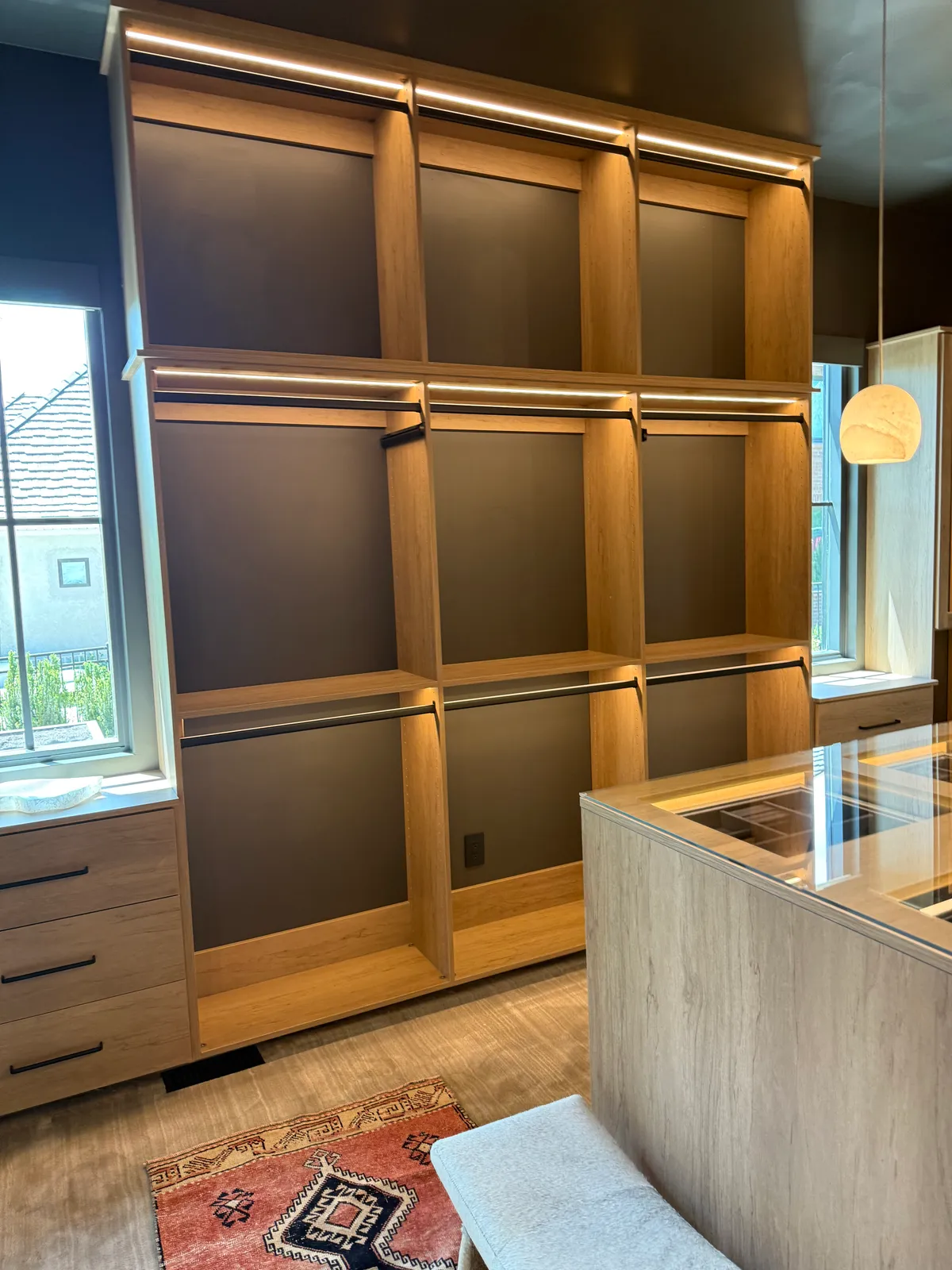 Closet project