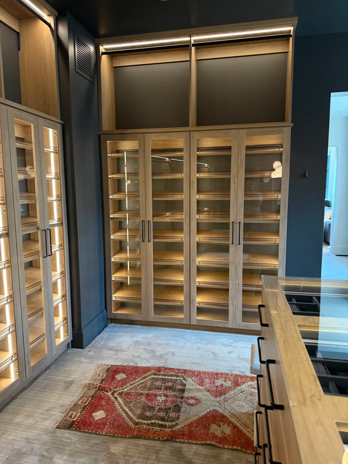Closet project