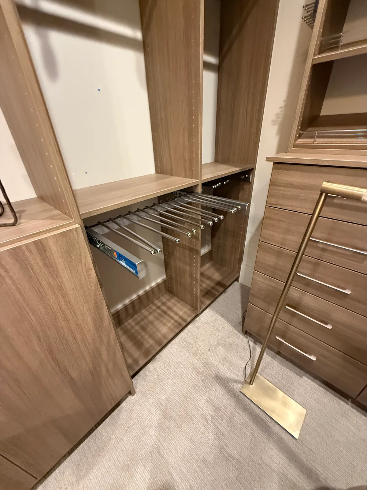 Closet project