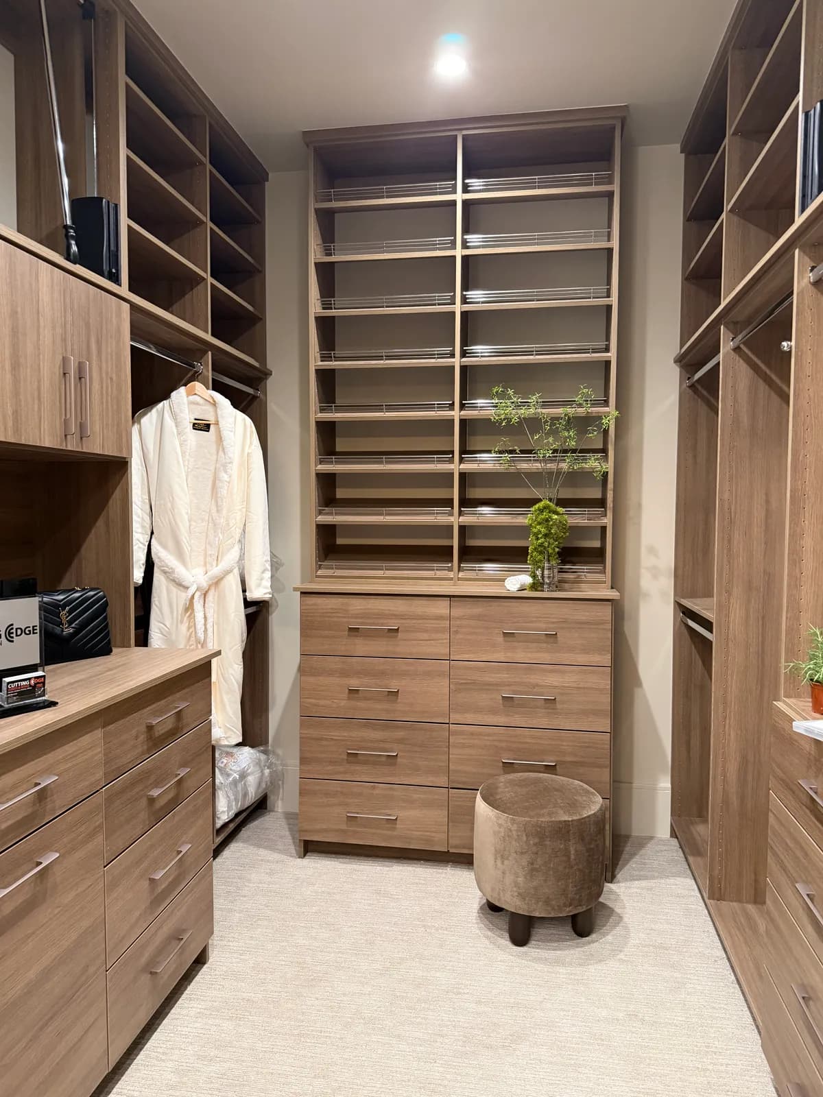 Closet project