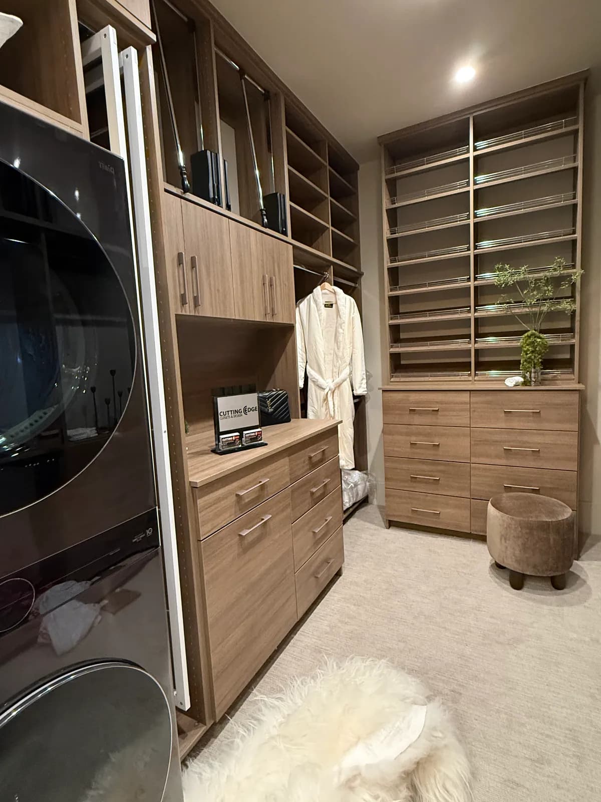 Closet project