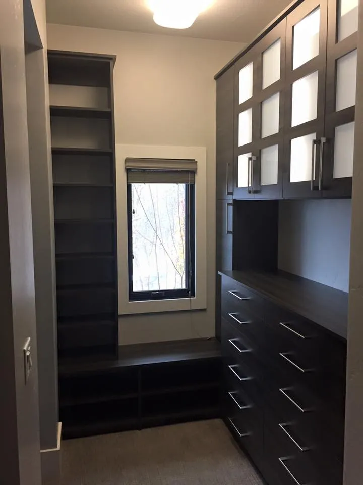 Closet project